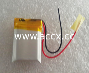 China Li-polymer battery supplier