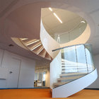 Simple Stainless Steel Design for Curved Staircase / Glass Railing / Wooden Treads