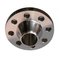 ACE Stainless Steel Forged Blind Flange supplier