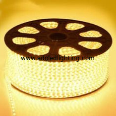China 220V High Voltage LED Flexiable Strips SMD5050 2835 3528 RGB multicolor IP67 22LM supplier