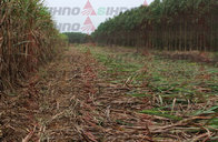 Advanced Hydraulic System Mini Sugar Cane Cutting Machine / Sugar Cane Harvester for Sale