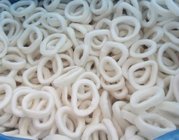 New catch fresh frozen seafood squid ring for good quality