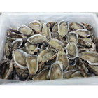 Frozen Oyster Seafood Frozen Half Shell or full shell