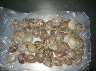 seafood and frozen vacuum clam for good quality