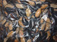 New Coming Seafood Frozen Half Shell Mussel for good quality