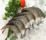 wholesale seafood Frozen vannanmei shrimp