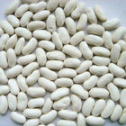 china food Peeled Broad Arabic White Alubia Beans