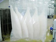 frozen squid tubes hot-selling seafood from china