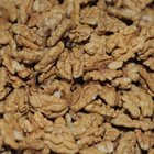 Food grade A walnut kernels,walnut without shell with high protein18mm-24mm