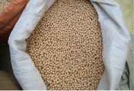 White Pigeon Peas Competitive Price / Best Quality Best Price