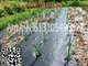 black needle punched woven polypropylene fabric ground cover weed barrier