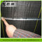 Anti Weed Mat/Landscape Fabric/PP weed mat from CHINA