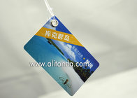 Cheap and easy paper card style hard pvc luggage tag custom and supply with any logo image words print