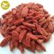 Amorberry China NingXia dried Goji berry Chinese Organic Sweet taste and Dried Style Goji Berries supplier