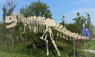 Artificial dinosaur fossil model