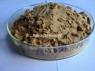 China Astragalus Flavonoids Extract powder supplier