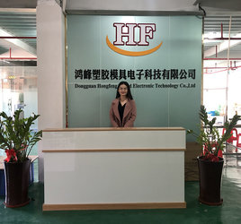 Dongguan Hongfeng Mould Electronic Technology Co.,Ltd