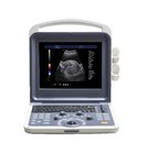 BCV10 Color doppler ultrasound scanner for veterinary use