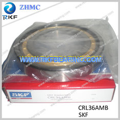 China SKF CRL36AMB Single Row Inch Cylindrical Roller Bearing With Brass Cage supplier
