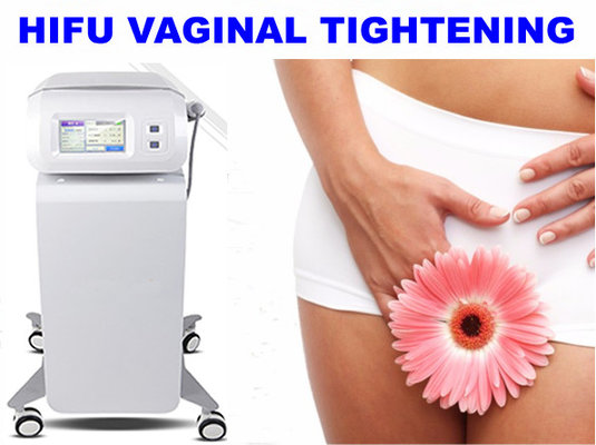 China Distributor wanted hifu vaginal tightening machine focused ultrasonic machine supplier