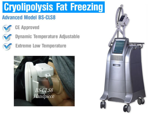 China Cryolipolysis slimming equipment China manufacturer cryolipolysis machine for sale body shaper slimming machine supplier