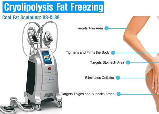 China Cryolipolysis slimming equipment cryo freezing cryolipolysis cavitation slimming machine supplier