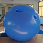 2023 hot sale Beile customize round PVC inflatable blueberry ball suit