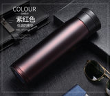 Double Wall Insulated Stainless Steel Thermos Travel Vacuum Flask Cup Water Bottle With Flip Open Lid and Tea Infuser