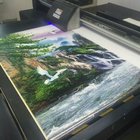 large size UV LED printer 2513,  promotion digital flatbed UV Printer on wall tile furniture