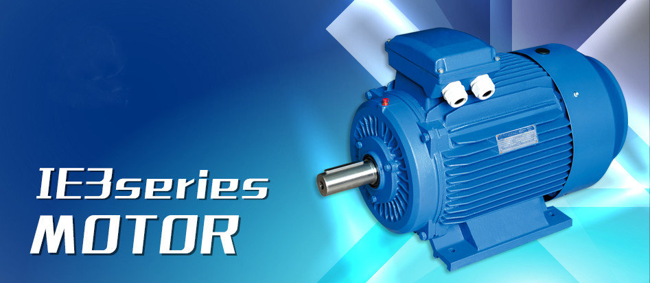 China best IEC Electric motor on sales