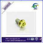 GR5（6Al-4V） rainbow-colored Titanium Alloy Screws BOLT DIN6921 M10 X 30 Flange Headsell at a low price For Bike