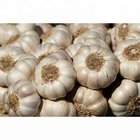 New Crop Pure White Garlic With Good Quality