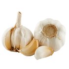 Wholesale Chinese Normal White Garlic