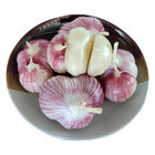 Fresh Pure Red White Export Garlic With Good Quality