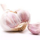 Normal Purple Garlic Price For Export