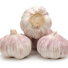 Normal Purple Garlic Price For Export