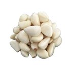 Garlic Clove Nitrogen Containing Garlic Peeled