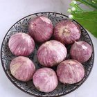 2019 Crop Purple Garlic (6.0cm&up)
