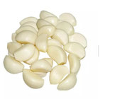 2019 China Fresh peeled Garlic on sale