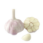 Chinese Fresh Pure White Garlic in 4p/net bag