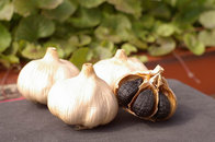 Factory Price Fermented Organic Black Garlic