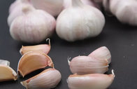 New Season Top Quality Red Garlic