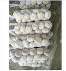 New Crop Braid Garlic For Sale From Chinese Supplier
