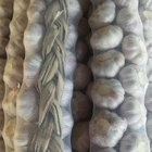 Wholesale New Crop Sack Fresh Braid Garlic