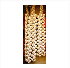 Fresh Garlic Price Braid Garlic For Sale