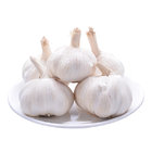 Fresh Chinese Normal White Garlic