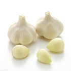 Fresh White Garlic with SGS Certificate