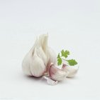 New Crop Fresh White Garlic From Reliable Supplier