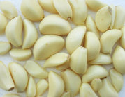 Chinese fresh peeled garlic, vacuum packed peeled garlic cloves