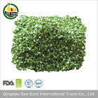 Freeze Dried Chive Tube